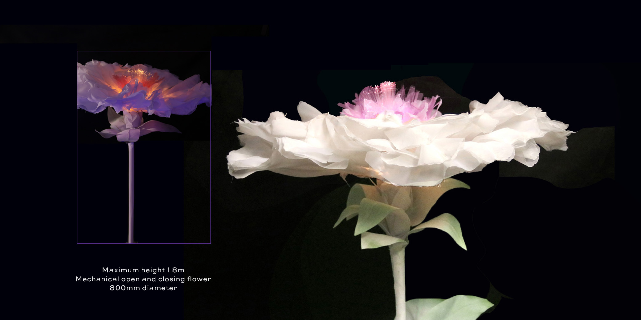 Purple mechanical flower